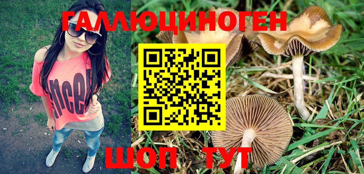 Галлюциногенные грибы Magic Shrooms  Вход с VPN  наркошоп  Карталы  Галлюциногенные грибы GOLDEN TEACHER 