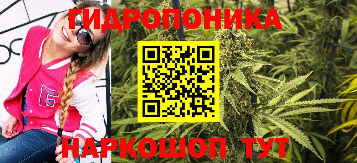 Карталы  Бошки марихуана тримм  Вход с VPN  Марихуана тримм 